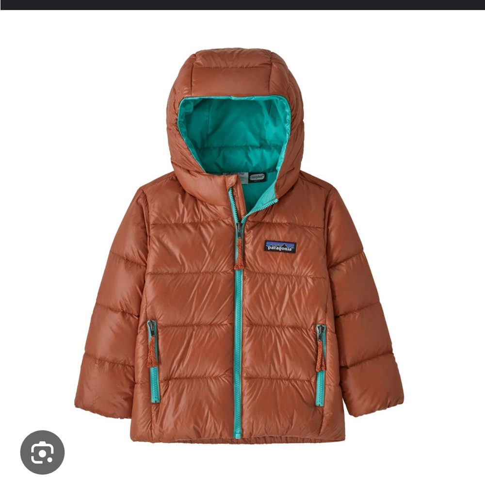 Patagonia Hi Loft Down Hoody Toddler - Great condition